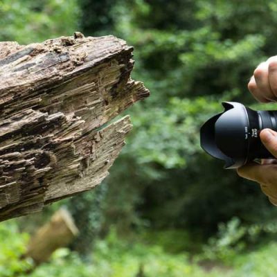 کنکور سراسری هنر