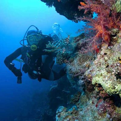 برنامه ریزی کنکور کارشناسی ارشد زیست شناسی دریا