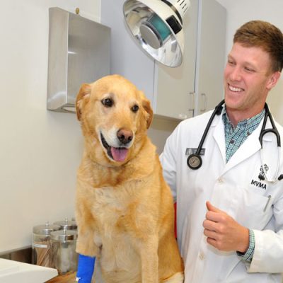 برنامه ریزی کنکور دکترا بيوتكنولوژی دامپزشكی